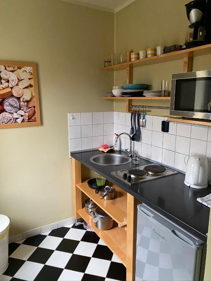 Apartments Merlin Mariánské Lázně Eksteriør bilde